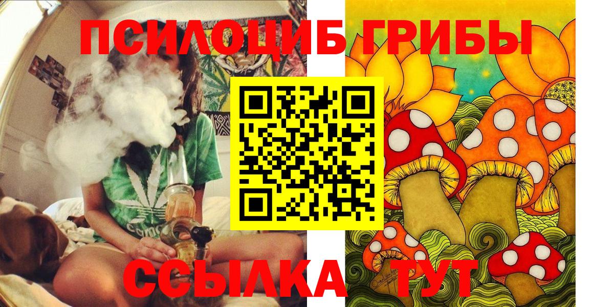 Тольятти  Галлюциногенные грибы Psilocybine cubensis  Галлюциногенные грибы MAGIC MUSHROOMS  Вход с VPN 