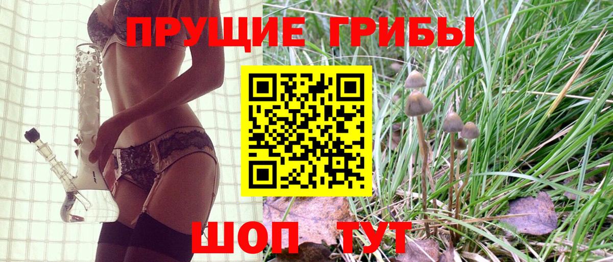 Псилоцибиновые грибы Psilocybine cubensis Тольятти